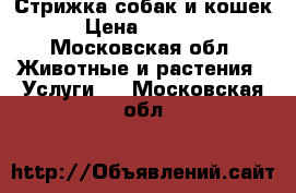 Стрижка собак и кошек › Цена ­ 1 000 - Московская обл. Животные и растения » Услуги   . Московская обл.